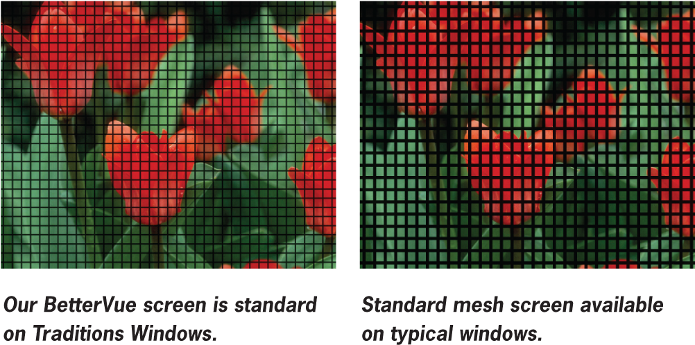 This Means That The Bettervue Screen Itself Is Not - Taj Mahal (1037x523), Png Download