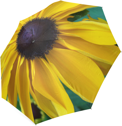 Looking Down The Black Eyed Susan Foldable Umbrella - Sunflower (500x500), Png Download