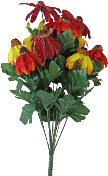 18" Black Eyed Susan ~ Red Mix - Parlour Maple (400x633), Png Download