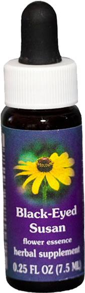 Black Eyed Susan, Fes Flower Essence - Flower Essence Services - Blackberry Flower Essence (600x680), Png Download