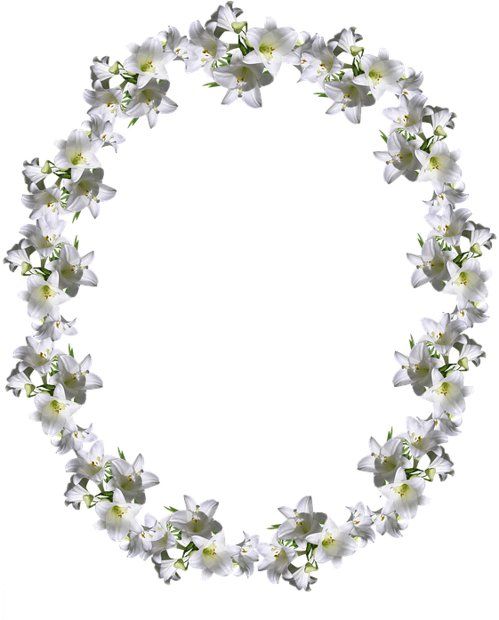 Frame, Border, White Lily, Floral Decoration - Necklace (566x720), Png Download