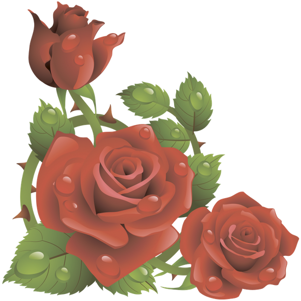 Цветы, Красная Роза, Зеленый Лист - Rose Flowers Wallpaper 3d (600x600), Png Download