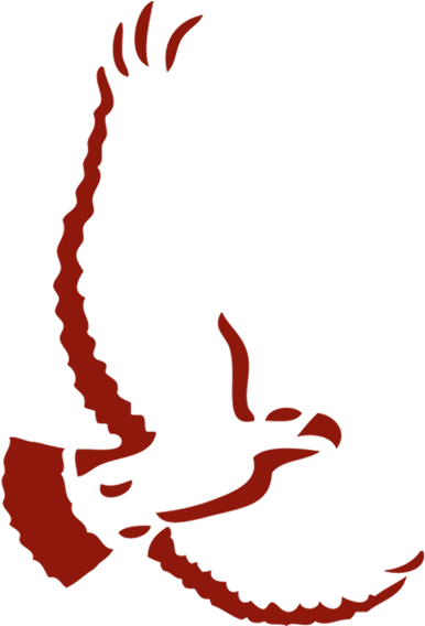 Red Hawk Golf & Resort Best Golf Course In Reno And - Atak Redüktör (399x585), Png Download