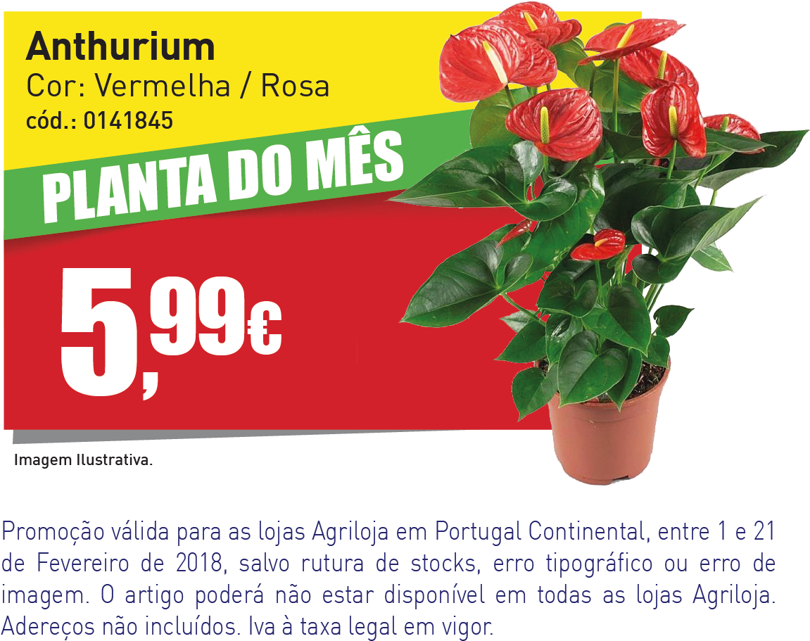 Banner Website Agril - Antúrio Red Winner (1251x1251), Png Download