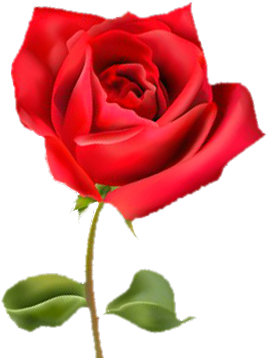 Affordable Finest Finest Villa Rosa With Rosa With - Rosicrusian Mystic's Prayer: Interpretation Of The (332x400), Png Download
