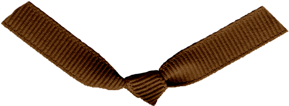 Brown Ribbon Png Free Download - Brown Ribbon Knot (605x250), Png Download