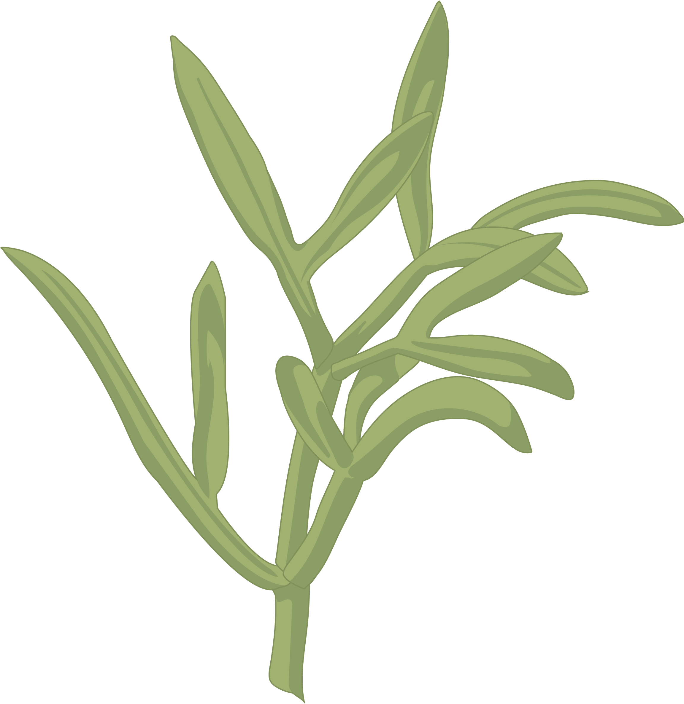 Perejíl De Mar - Illustration (2480x3508), Png Download