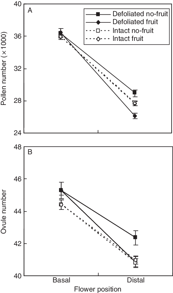 Per Flower Between Basal And Distal Positions Of Fruit - Blue Plantain-lily (589x997), Png Download