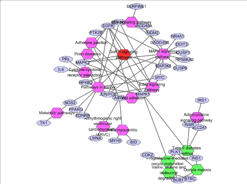 Nodes Linking The Enriched Kegg Pathway By Hub Genes - Clusterone, Inc. (850x634), Png Download