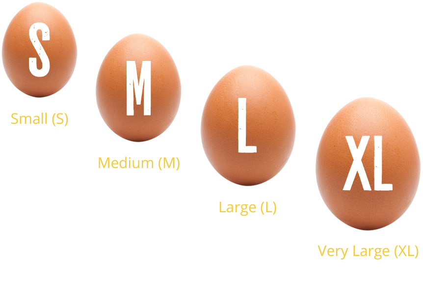 Egg Sizes - Egg Sizes Uk (862x576), Png Download