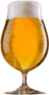 Cuadro Para La Categoría Importadas - Set Of 4 Spiegelau 15.5-oz Beer Tulip Glass | Bar & (443x450), Png Download