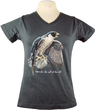 Peregrine Falcon - Shirt (450x450), Png Download