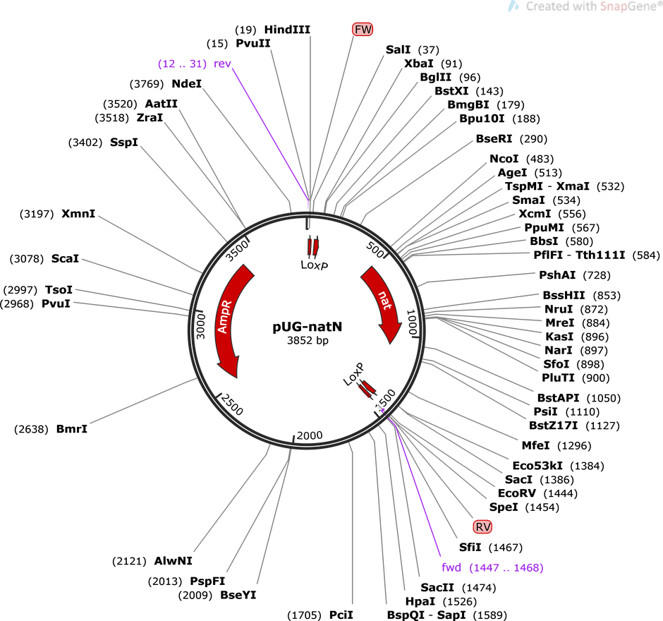 Map Uploaded By The Depositor - Diagram (940x880), Png Download