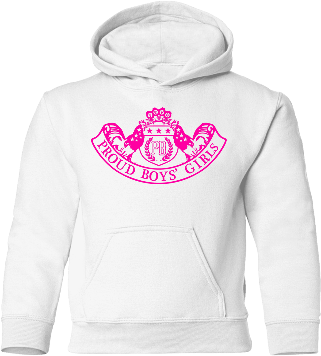 Toddler Pullover Hoodie - Aero Rep̼blica Vintage Logo Colombian Airline Hoody (1155x1155), Png Download