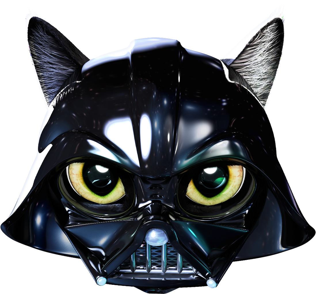 Cat (1200x1200), Png Download