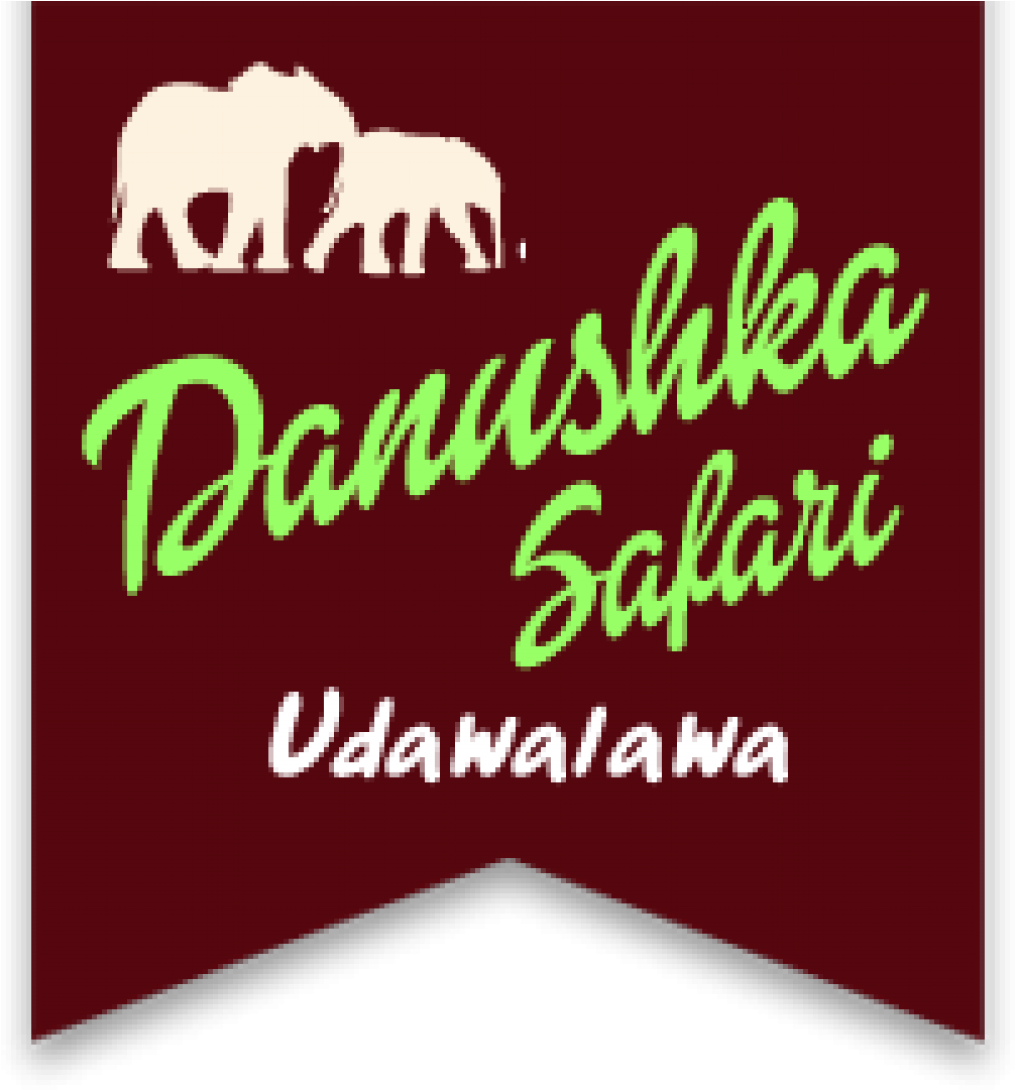 Logo - Jeep (1024x1094), Png Download