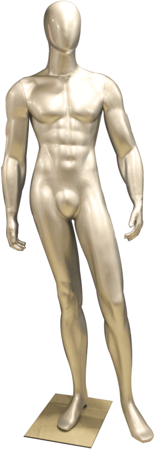 Masculino Atlético - Man013 - Manequim Masculino Png (682x1024), Png Download