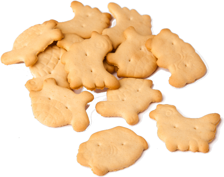 Animal Crackers Png (800x698), Png Download