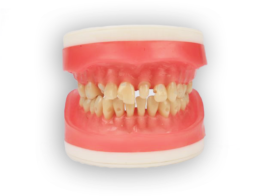 Manequim Materiais Dentários Top - Mannequin (640x427), Png Download