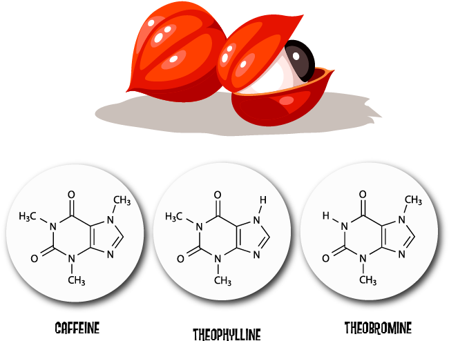 A Specific Advantage Compared With The Stimulating - Prathamesh Name (901x558), Png Download