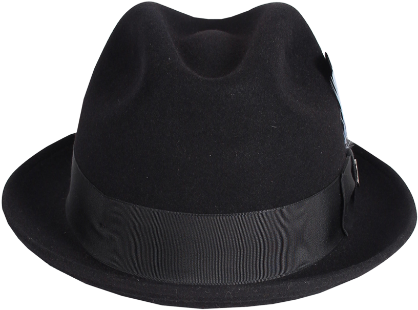 Stingy - Fedora (1200x1098), Png Download