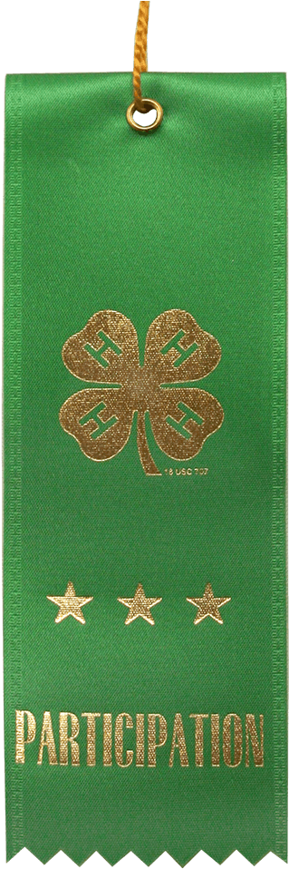Green Participation Ribbon - Participation Ribbon (1028x1028), Png Download