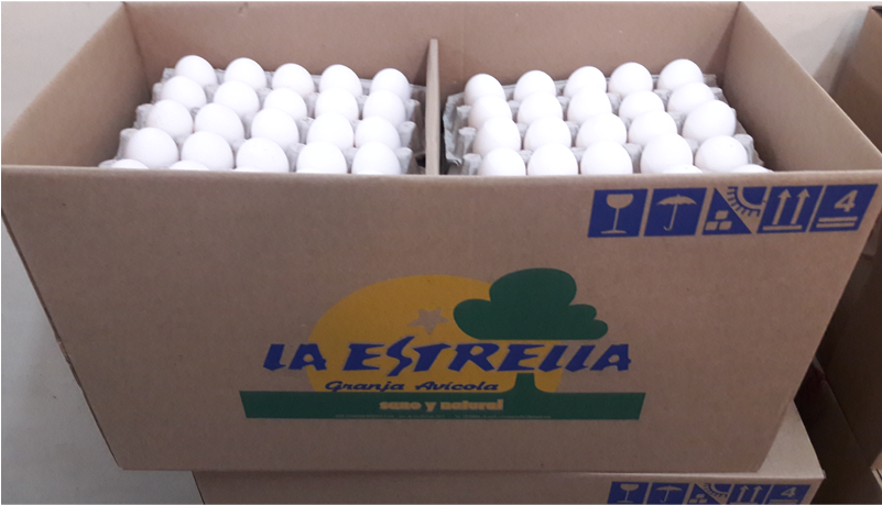 Foto Galería - Carton (800x600), Png Download