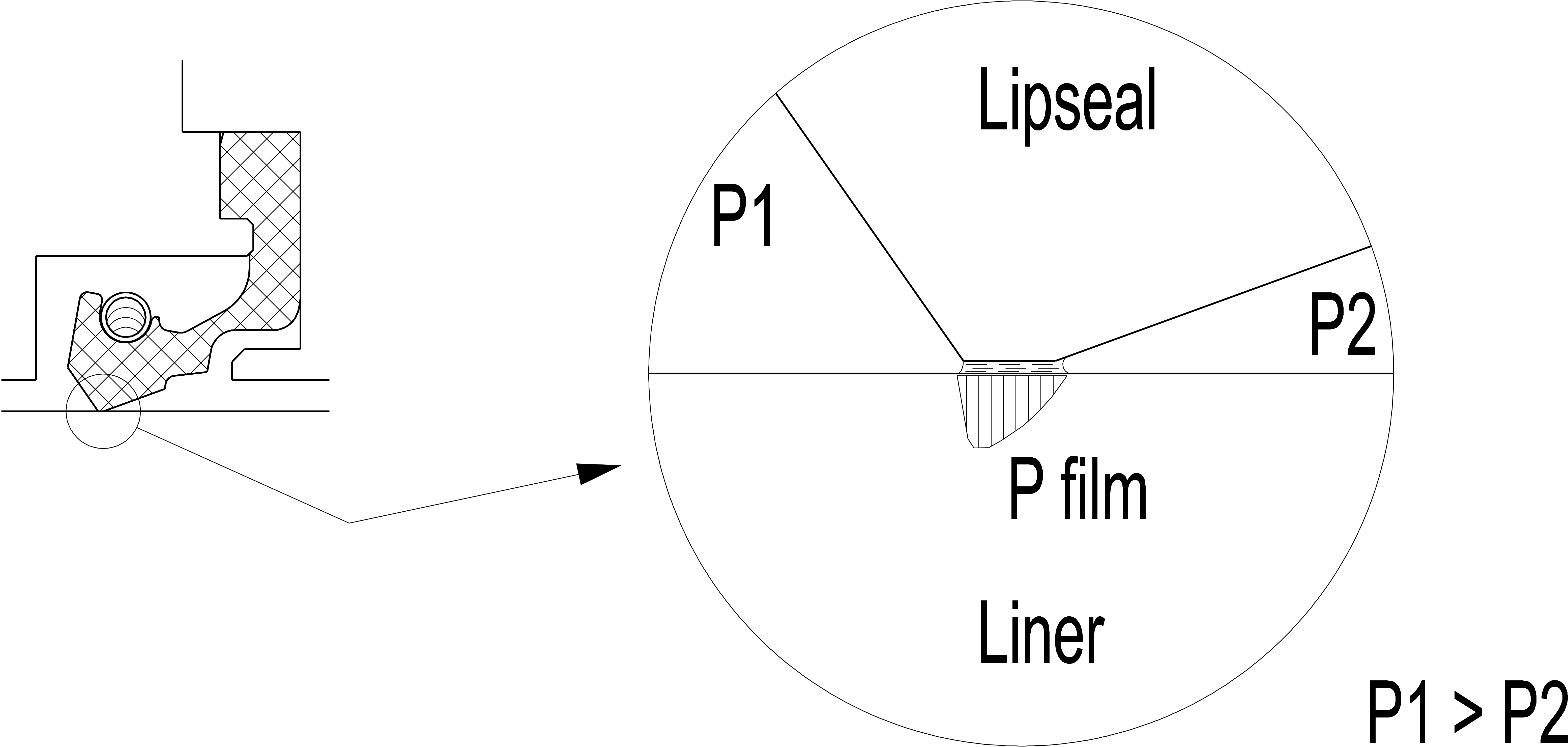 Radial Lip Seals - Diagram (6218x2961), Png Download