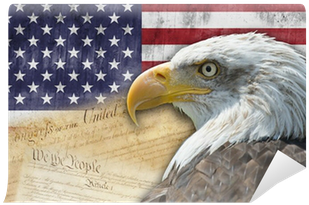 Bandera Y Símbolos De Los Estados Unidos De América - American History: Us History: An Overview (400x400), Png Download