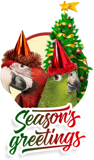 Seasons Greetings From Lafeber - Season (315x539), Png Download