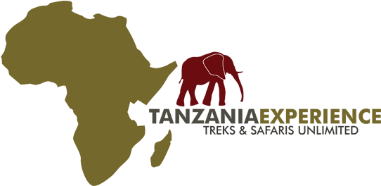 Africa Continent Silhouette (600x272), Png Download