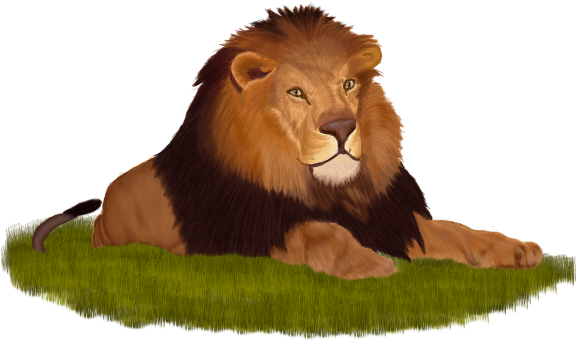Animais Domésticos - Jpeg (586x340), Png Download