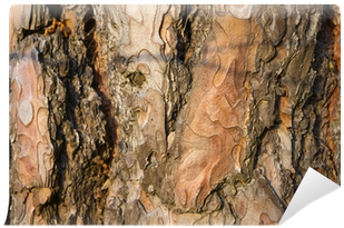 Bark (400x400), Png Download