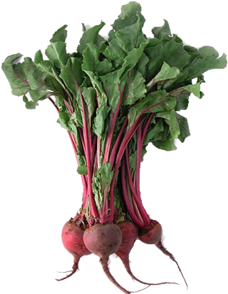 Corn Brochure (600x436), Png Download