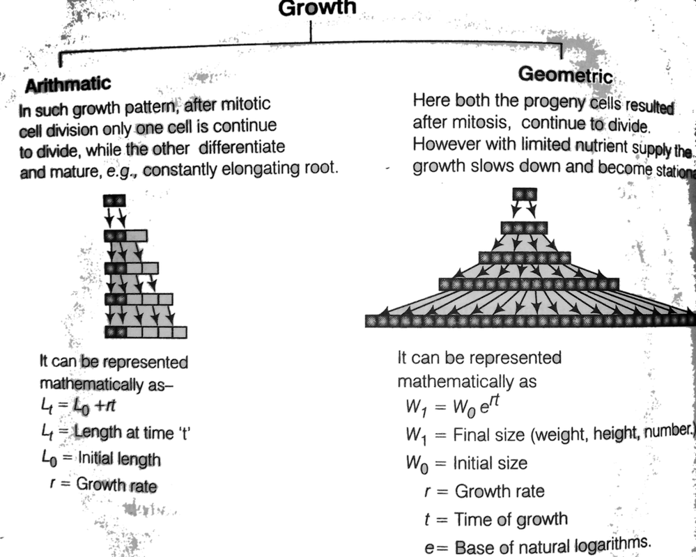 Growth Rate And Types Of Growth Rate In - Economic Growth (999x800), Png Download