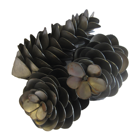 Come To The Iron Barn And Take A Look At Our Pine Cones - Mexican Pinyon (498x498), Png Download