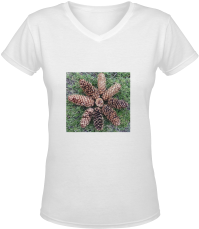 Pine Cones Women's Deep V Neck T Shirt - All About The Benjamins Shirt (500x500), Png Download