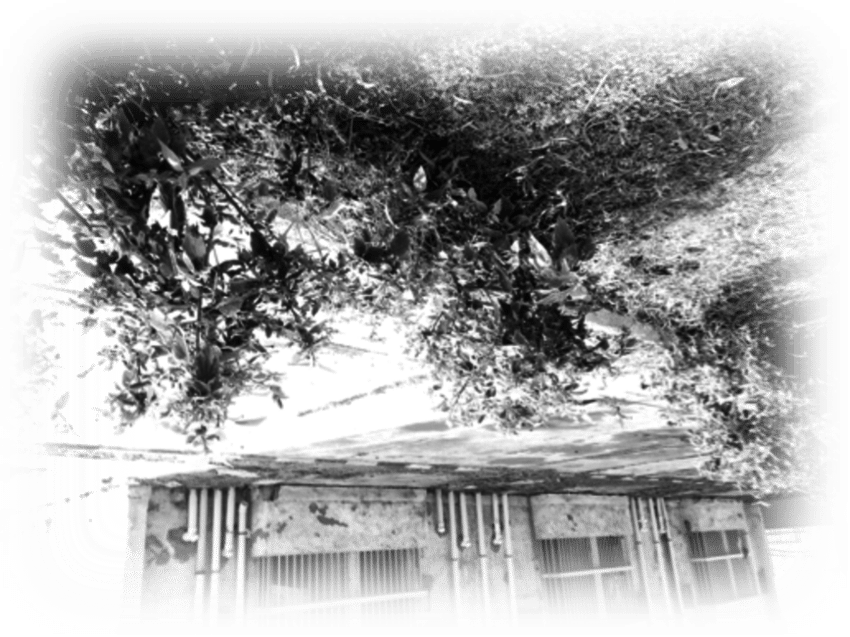 An Upside-down World - Monochrome (850x637), Png Download