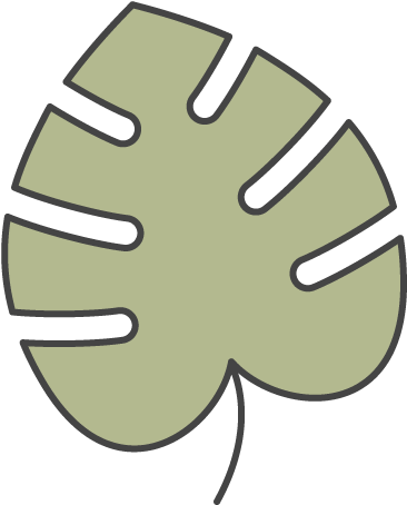 Monstera - Portable Network Graphics (500x500), Png Download