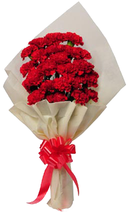 Bunch Of 25 Red Carnations - Bunches Flowers With Hand (450x450), Png Download