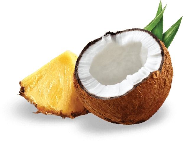 Treo Coconut Pineapple Organic Birch Water Infusion - Pineapple And Coconut Icon (600x600), Png Download