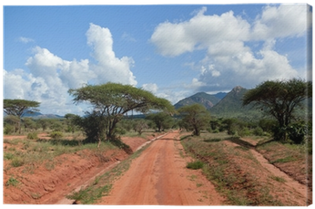 Red Ground Road, Bush With Savanna - Tsavo West National Park (400x400), Png Download