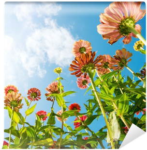 Flowers Over Blue Sky - Flower (400x400), Png Download