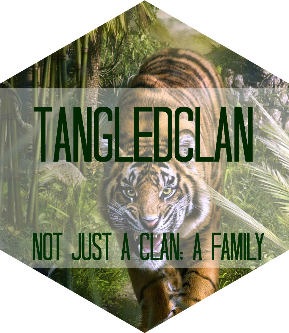 Jungle Tiger Roar Darwing Art Hd Animal Wallpapers - Graphic Design (1920x1200), Png Download