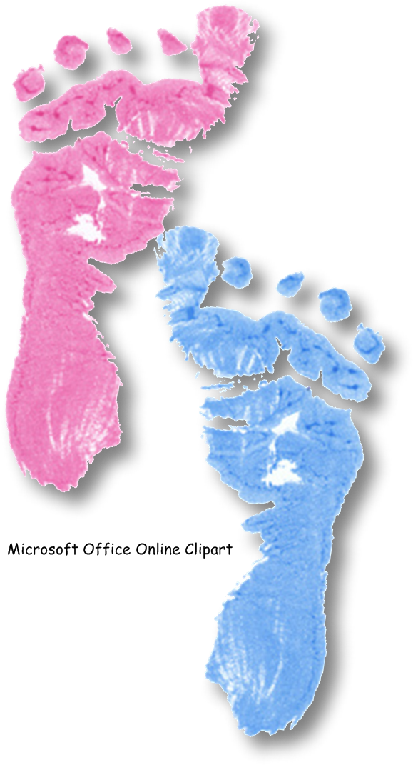 "the Baby Book" - Baby Feet (579x1071), Png Download