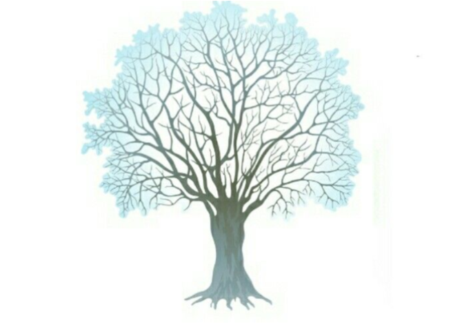 Winter Tree Clipart Png (720x660), Png Download