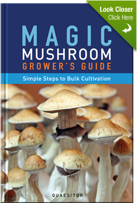 Magic Mushroom Grower's Guide Simple Steps To Bulk (378x398), Png Download
