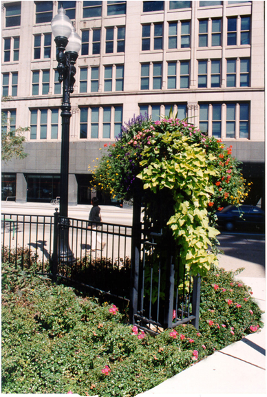 Guide To The Chicago Landscape Ordinance Chicago, Illinois - Fence (720x576), Png Download