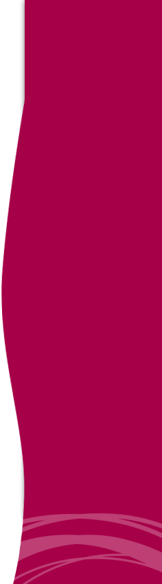 Languages Español - Carmine (236x850), Png Download