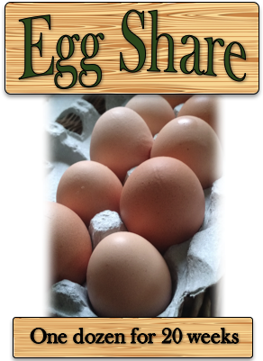 The Farm Now Offers Certified Organic Eggs From Hens - Boiled Egg (300x400), Png Download